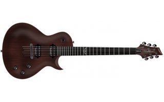 Imagenes de Washburn PXL-10 WA