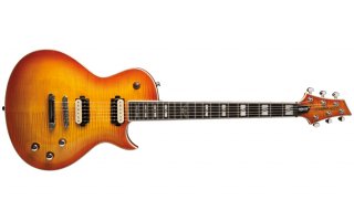 Imagenes de Washburn PXL-200 FHB