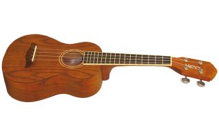 Imagenes de Washburn UK-20
