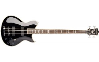 Imagenes de Washburn WB-66 Serie Idol