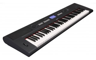 Imagenes de Yamaha NP-V60