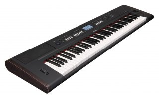 Imagenes de Yamaha NP-V80