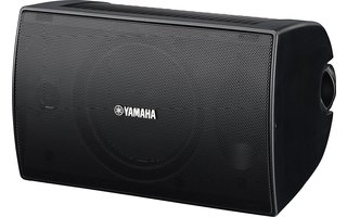 Yamaha NS-AW294