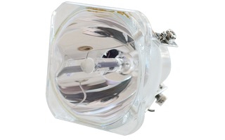 AFX Lighting 2R-LAMP