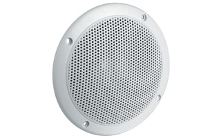 Broadband speaker 4 Ohm 60 W - Visaton 2113
