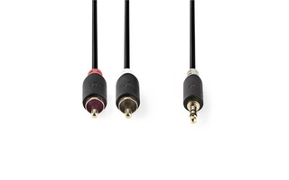 Cable de Audio Estéreo - Macho de 3,5 mm - 2x RCA Macho - 10 m - Antracita - Nedis CABW22200AT10