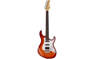 Cort Guitars G 250 TAB
