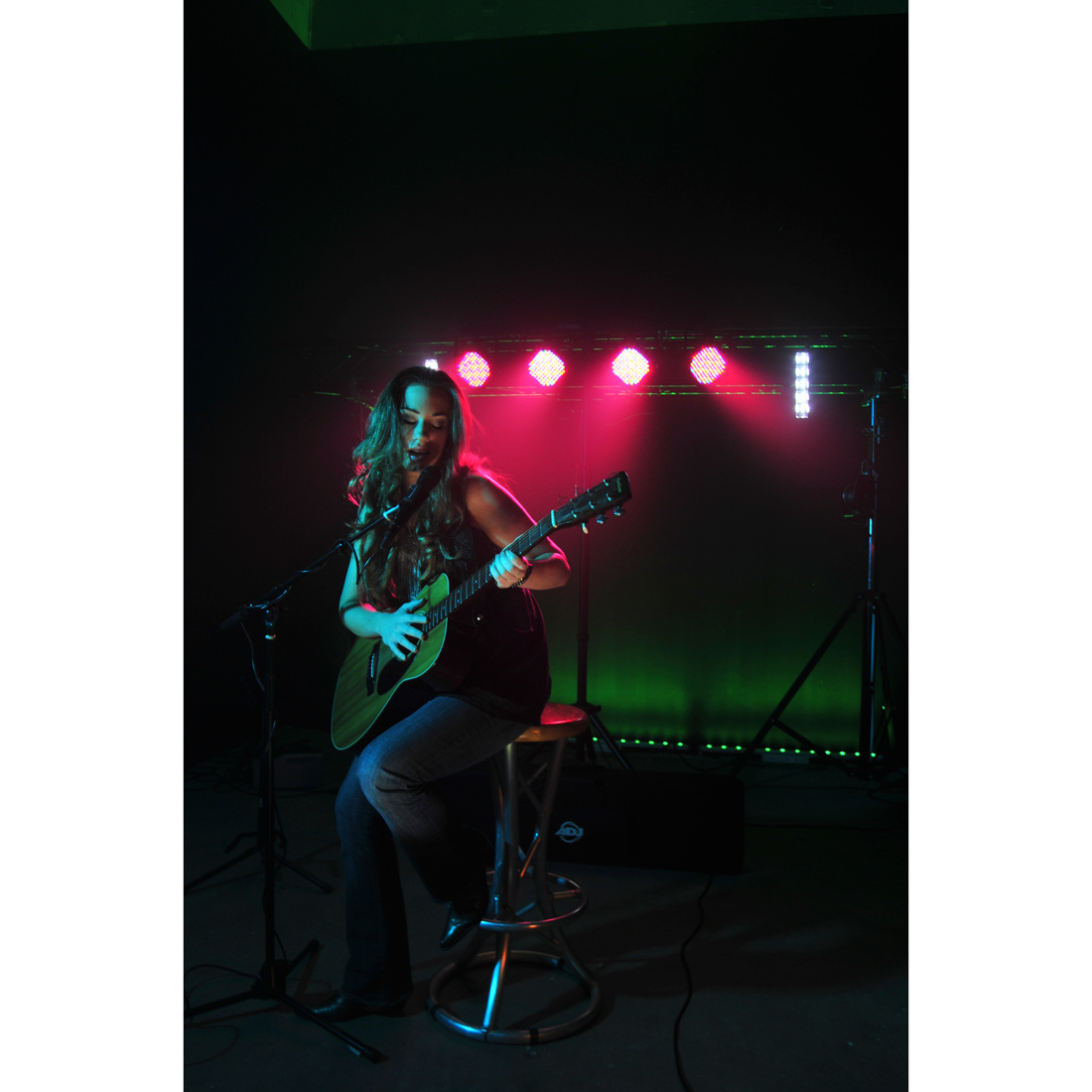 American DJ Mega PAR Profile System - DJMania