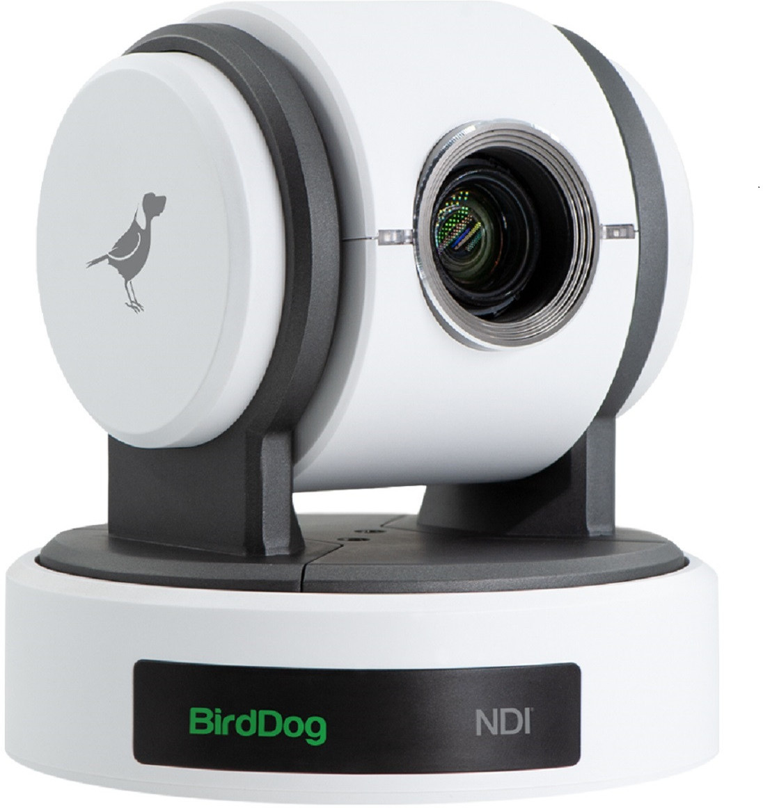 BirdDog Eyes P100 Blanco - DJMania