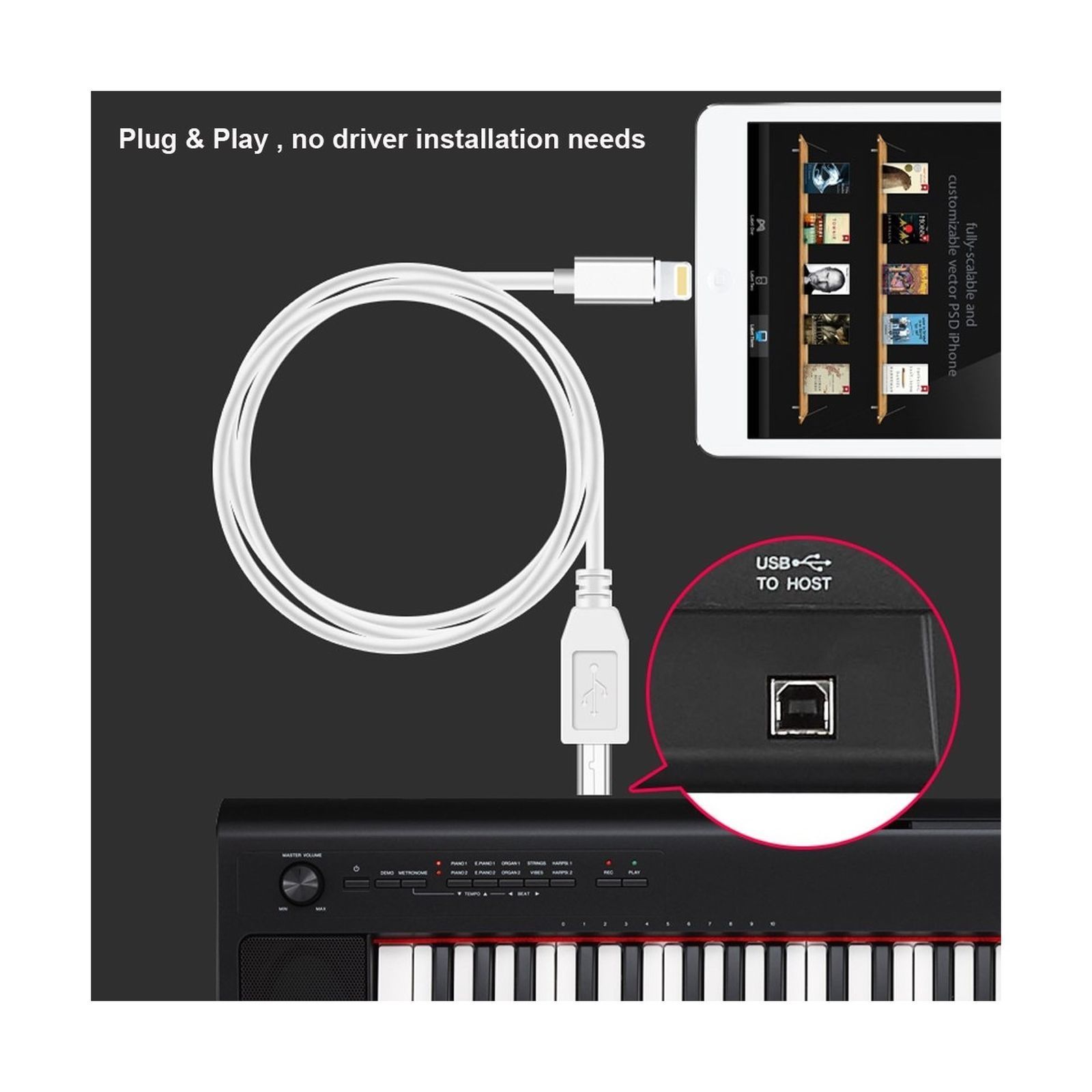 Cable Lightning A USB-B - Cable MIDI IPad & IPhone - DJMania