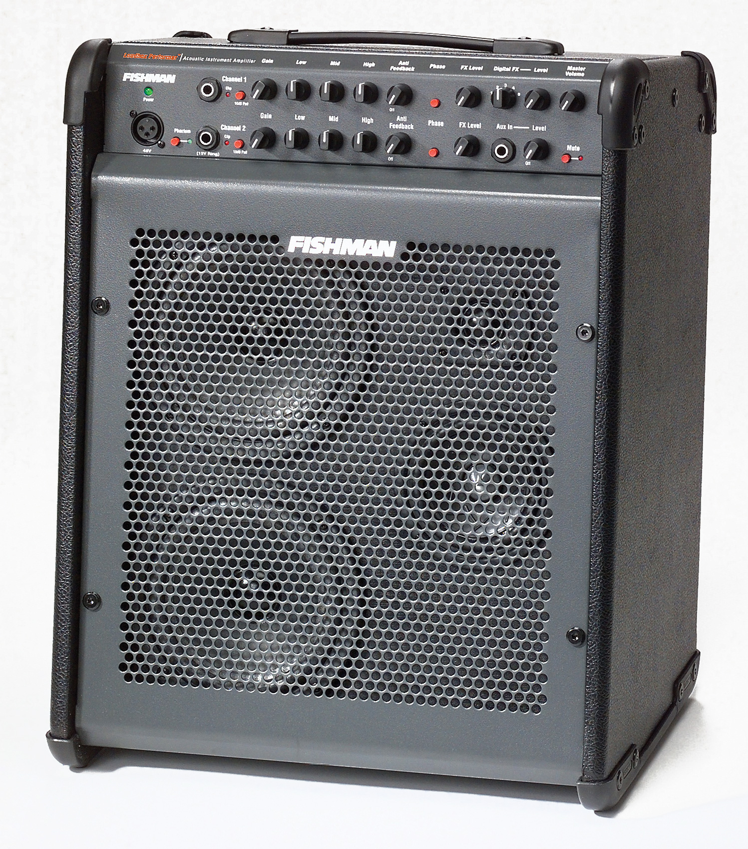 Fishman Loudbox Performer DJMania