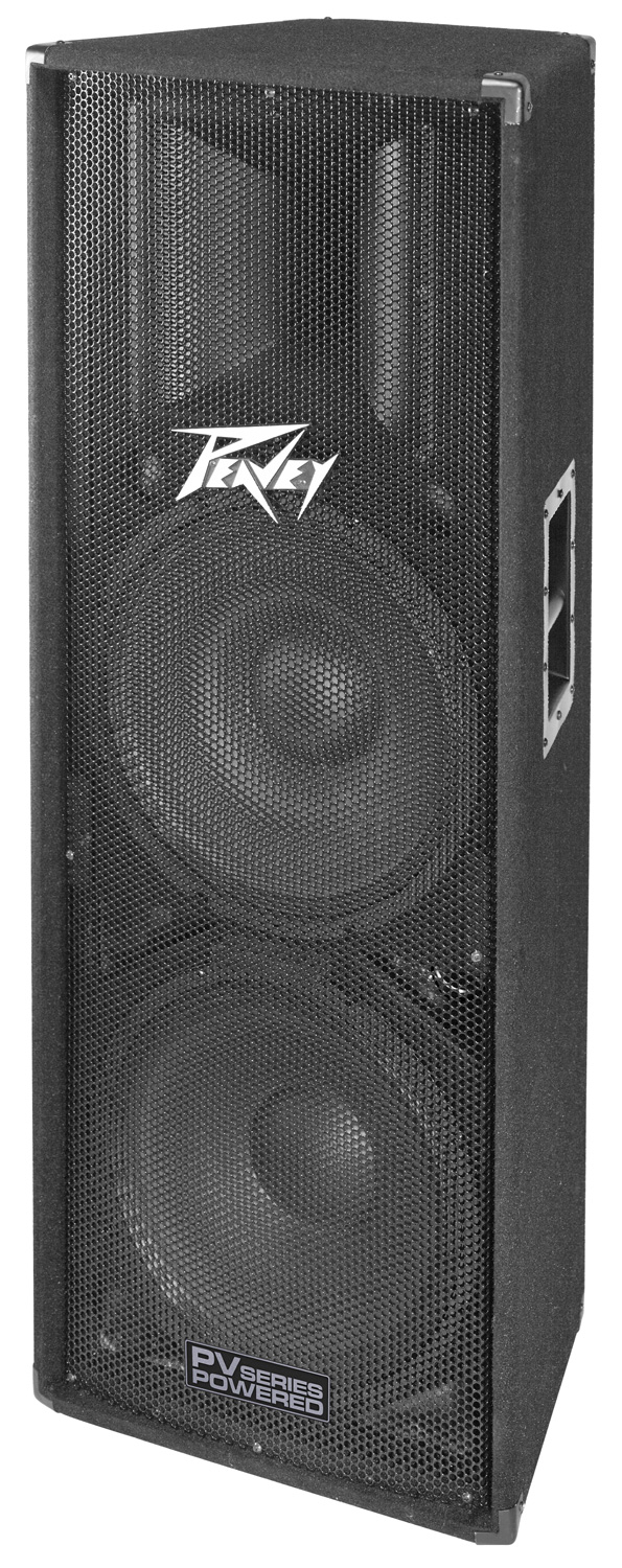 Peavey PV 215 D DJMania
