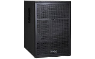 Peavey SP 118 BX