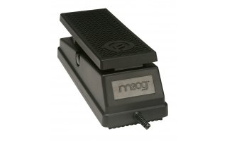 Imagenes de Moog EP-2 