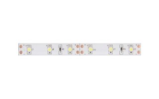 Tira de LEDs con alimentador - Color blanco frío - 180 LEDs - 3 metros - 12V