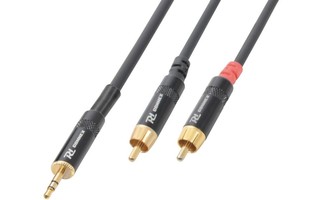 PD Connex Cable 3.5 Stereo- 2xRCA Macho 3.0m