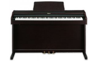 Roland RP-101