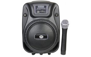 Imagenes de Acoustic Control GuGo Combo