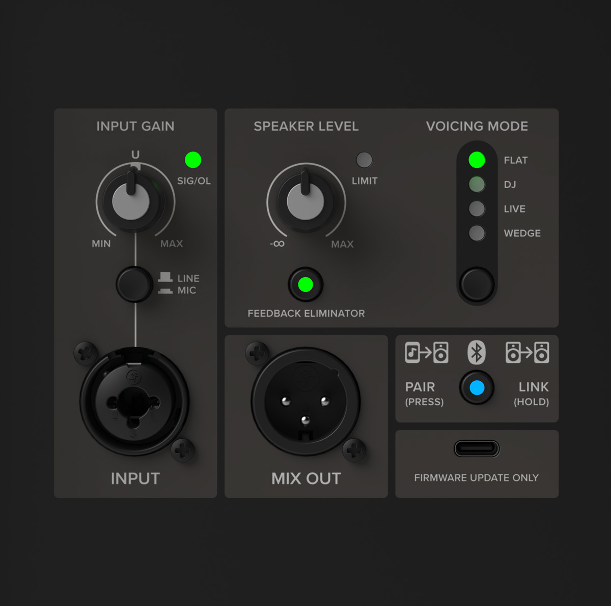 Panel de conexiones del Mackie ThRash V2: input gain con selector line y mic, speaker level, voicing mode, feedback eliminator, entrada combo XLR TRS, mix out y botón Bluetooth